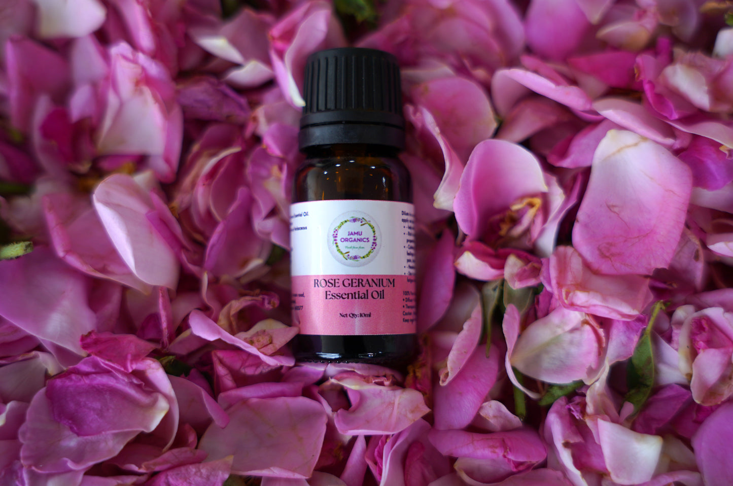 Rose Geranium Essential Oil