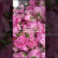 Rose Hydrosol 100ml