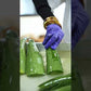Aloe Vera Gel
