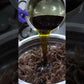 Herbal Hair Oil